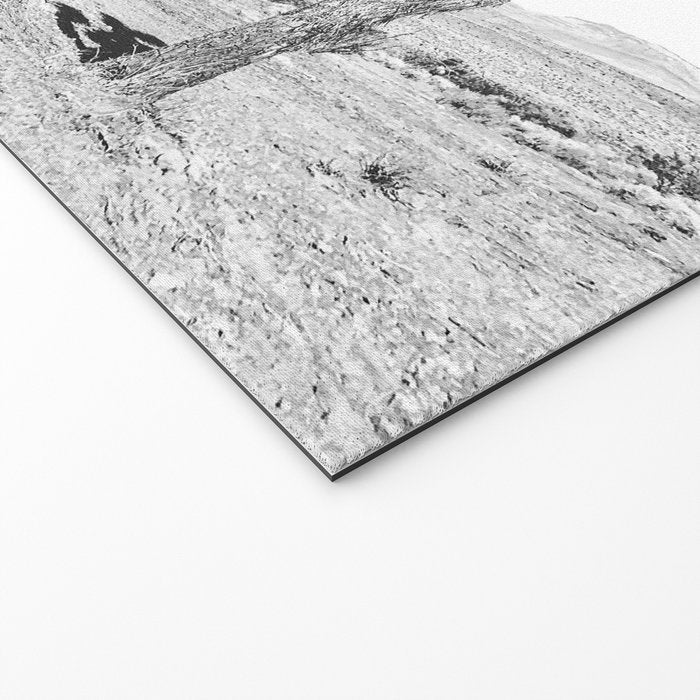 Vintage Desert Scape B&W // Cactus Nature Summer Sun Landscape Black and White Photography Welcome Mat Gallery Image 2