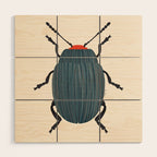Blue and orange beetle Wood Wall Art Gallery Image 1