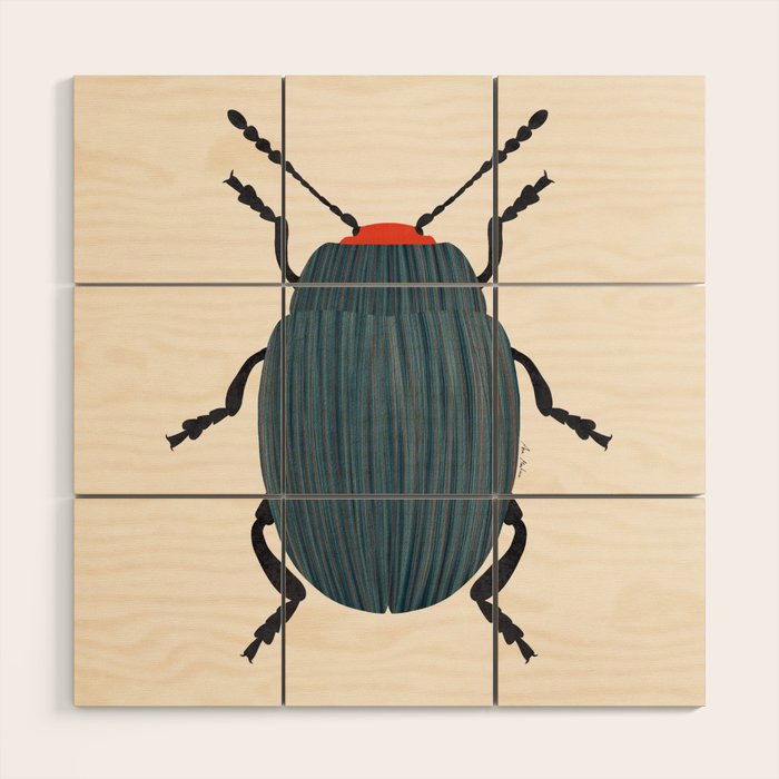 Blue and orange beetle Wood Wall Art Gallery Image 1