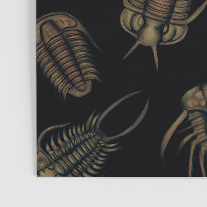 Trilobites - Marine Fossil Pattern Poster Gallery Image 3