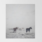 Horses in the Mist II Throw Blanket Gallery Image 2