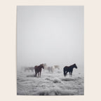 Horses in the Mist II Poster Gallery Image 4
