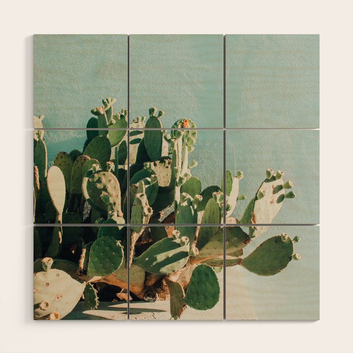 Prickly pear cactus in Marfa, West Texas Wood Wall Art Gallery Image 1