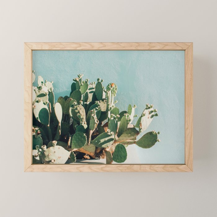 Prickly pear cactus in Marfa, West Texas Mini Art Print Gallery Image 1