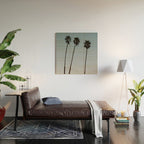 three palm trees iv / santa barbara, california Wood Wall Art Gallery Image 2