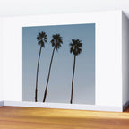 three palm trees iv / santa barbara, california Wall Mural Gallery Image 2