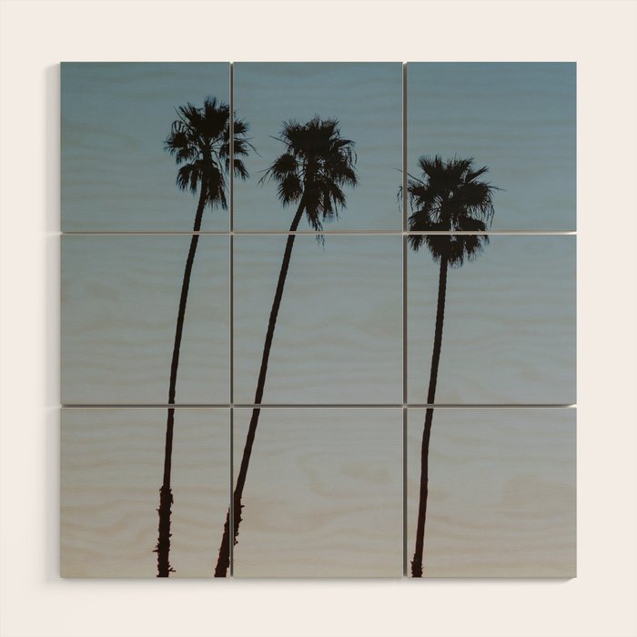 three palm trees iv / santa barbara, california Wood Wall Art Gallery Image 1