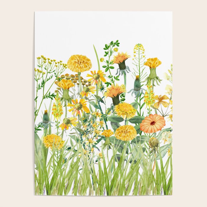 Yellow Scandinavian Wildflowers  Meadow  Poster Gallery Image 4