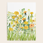 Yellow Scandinavian Wildflowers  Meadow  Poster Gallery Image 4