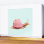 ICE SNAIL Wall Mural Gallery Image 2