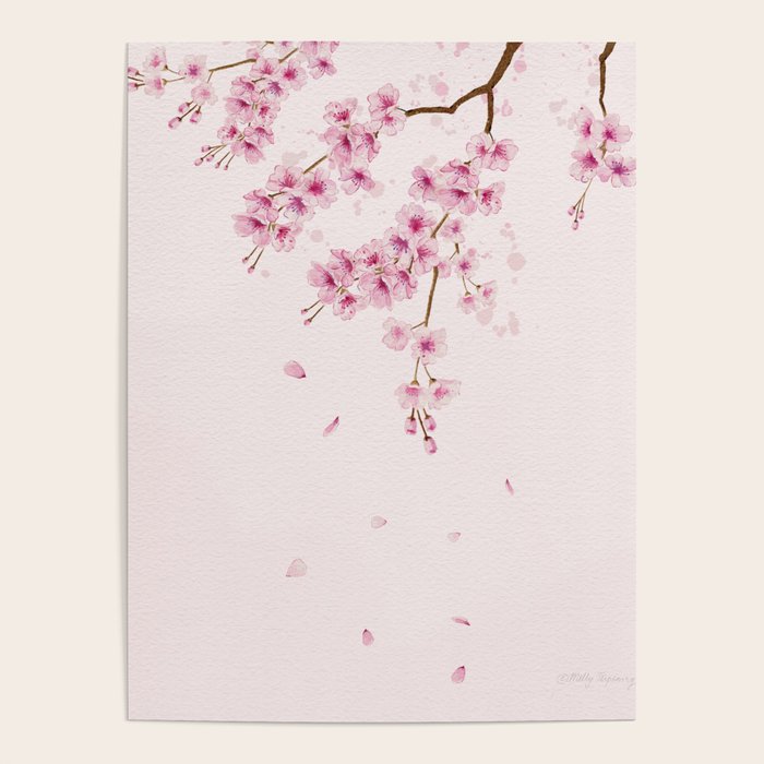 Cherry Blossom 2  Poster Gallery Image 1