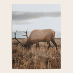 Wyoming Poster Gallery Image 4