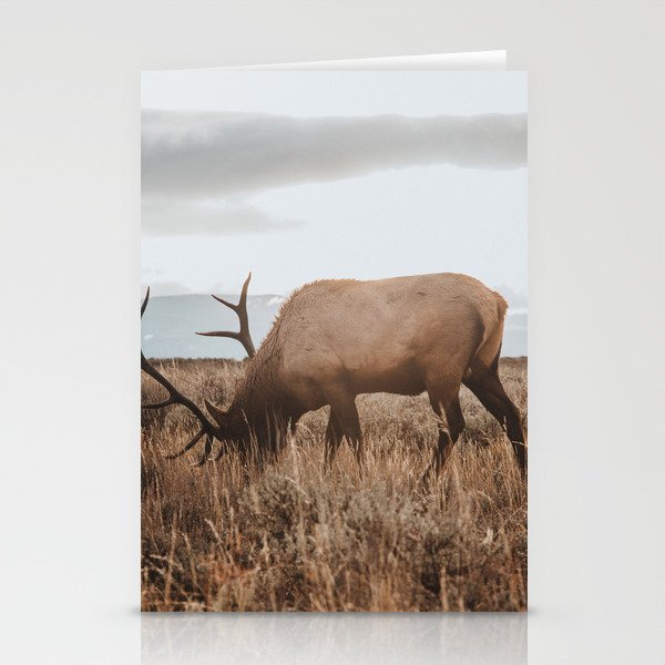 Wyoming Stationery Card Gallery Image 2