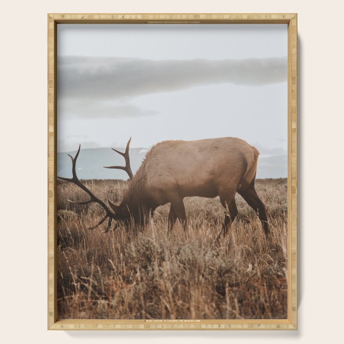Wyoming Serving Tray Gallery Image 1