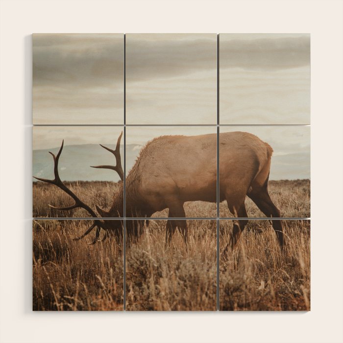 Wyoming Wood Wall Art Gallery Image 1