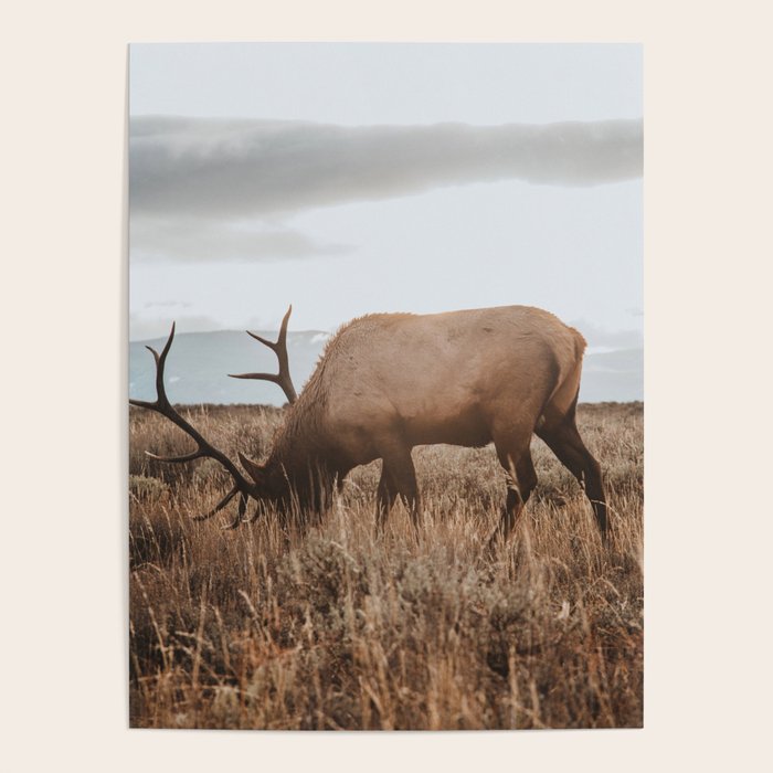 Wyoming Poster Gallery Image 1