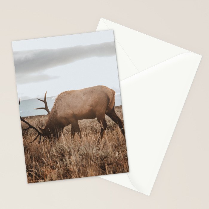 Wyoming Stationery Card Gallery Image 2