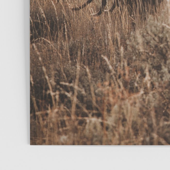 Wyoming Poster Gallery Image 3