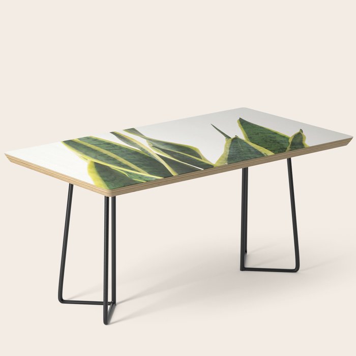 Sansevieria Coffee Table Gallery Image 1