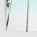 Palm Trees Poster Gallery Image 3