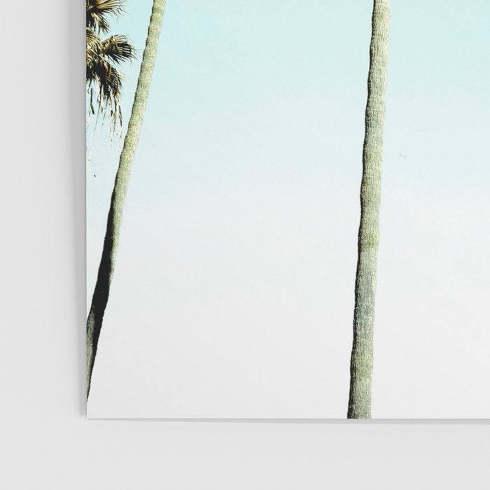 Palm Trees Poster Gallery Image 3