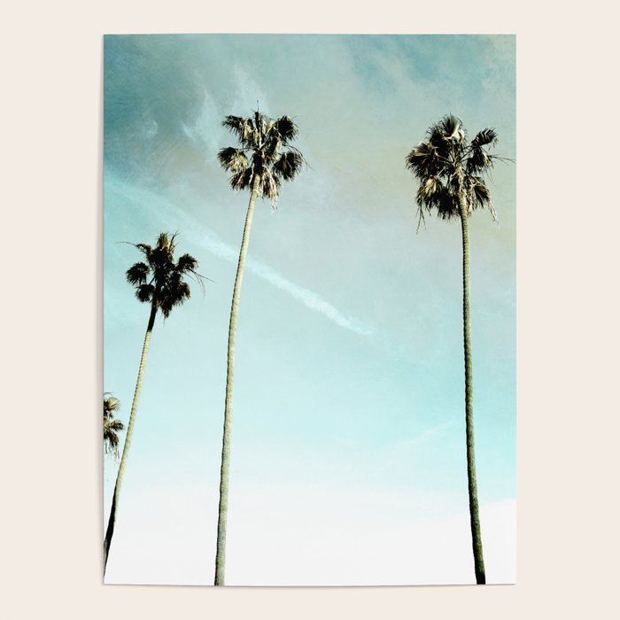 Palm Trees Poster Gallery Image 4