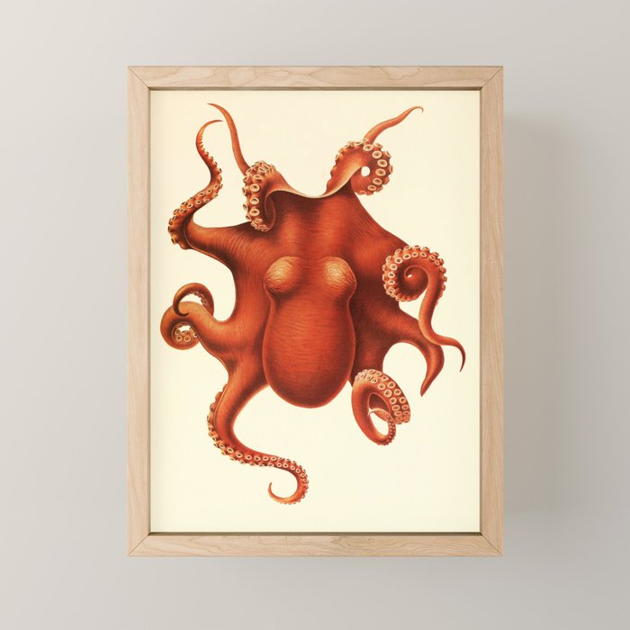Art by Friedrich Wilhelm Winter from "Cephalopod Atlas" by Carl Chun, 1910 (benefitting Greenpeace) Mini Art Print Gallery Image 1