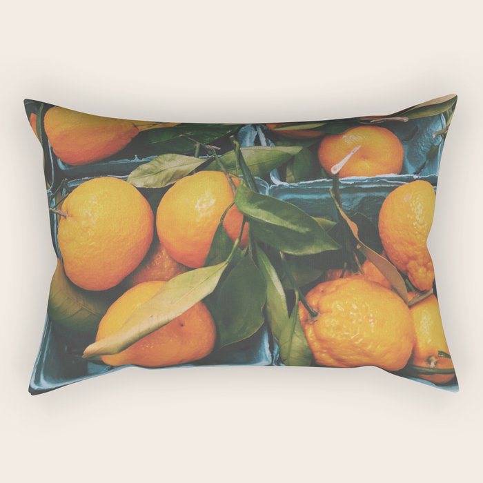 Oranges Rectangular Pillow Gallery Image 1