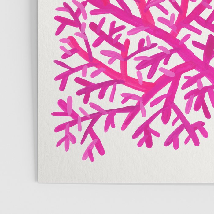 Fan Coral - Pink OmbrÃ© Poster Gallery Image 3