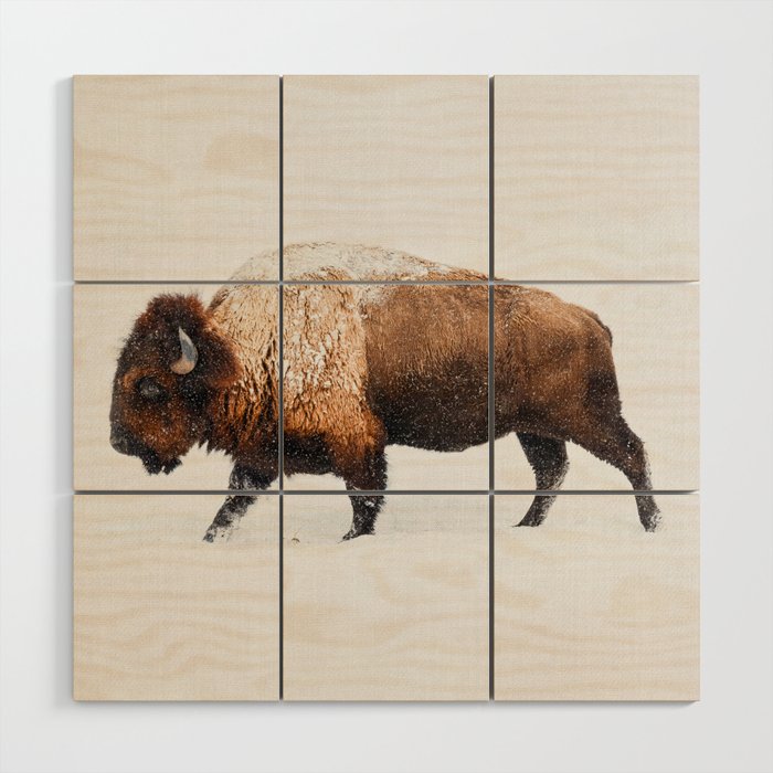 Buffalo In The Snow Wood Wall Art Gallery Image 1