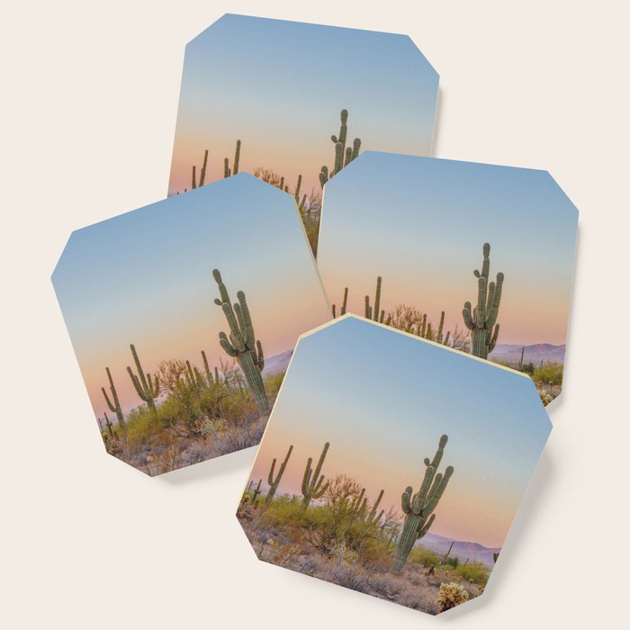 Desert / Scottsdale, Arizona Coaster Gallery Image 1