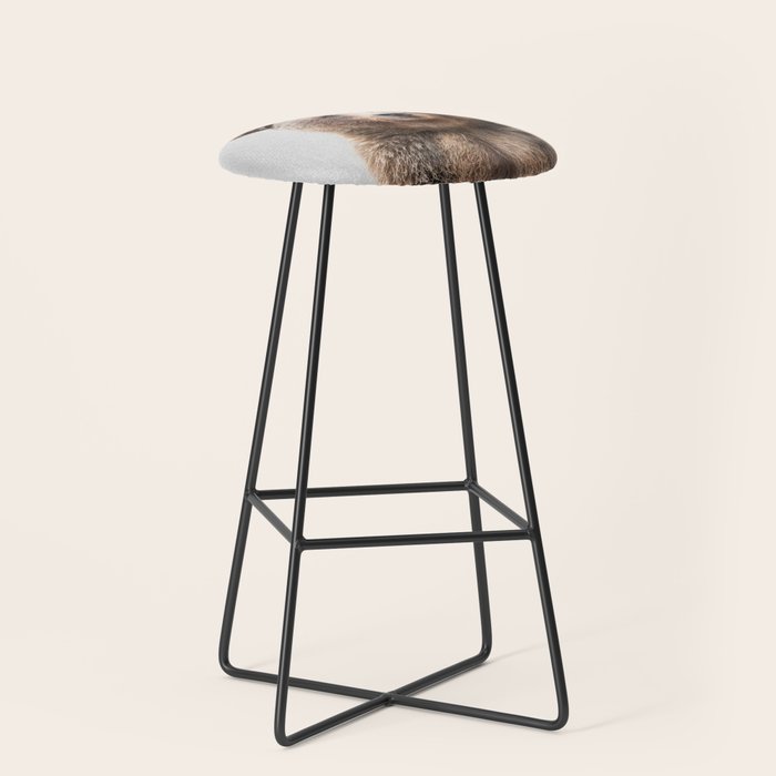 Grizzly Bear - Colorful Stool Gallery Image 1