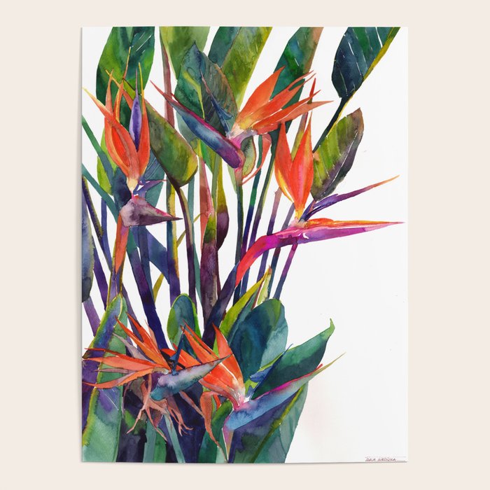 The bird of paradise Poster Gallery Image 4