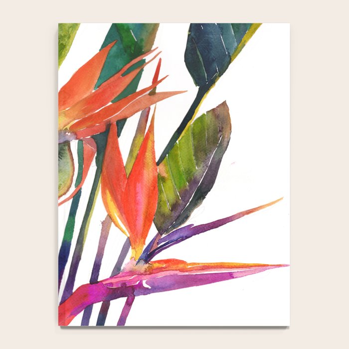 The bird of paradise Notebook Gallery Image 4