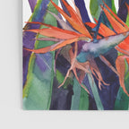The bird of paradise Poster Gallery Image 3
