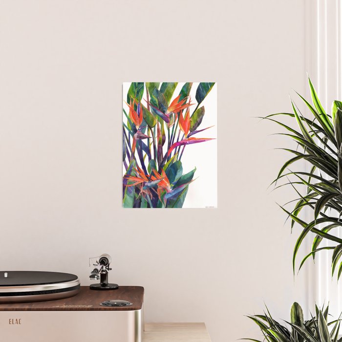 The bird of paradise Poster Gallery Image 2