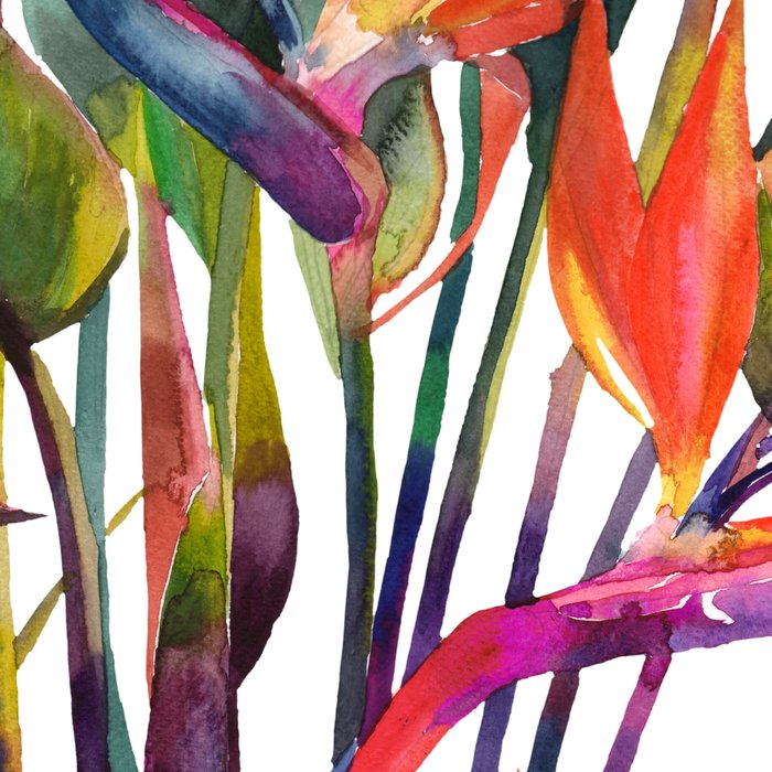 The bird of paradise Coffee Mug Gallery Image 2
