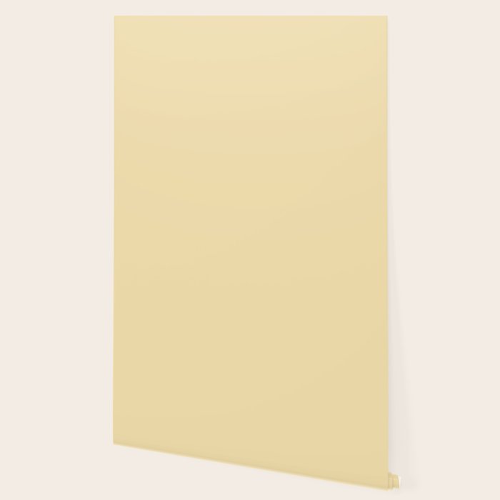 Lantern Light soft pastel creamy yellow solid color modern abstract pattern Wallpaper Gallery Image 2