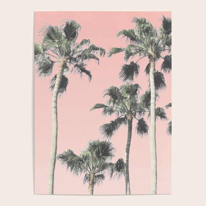 Blush Palms Poster Gallery Image 4