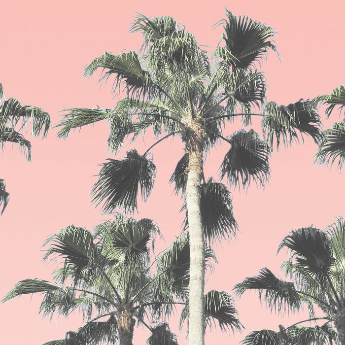 Blush Palms Coffee Mug Gallery Image 2