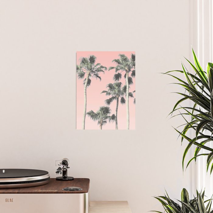 Blush Palms Poster Gallery Image 2