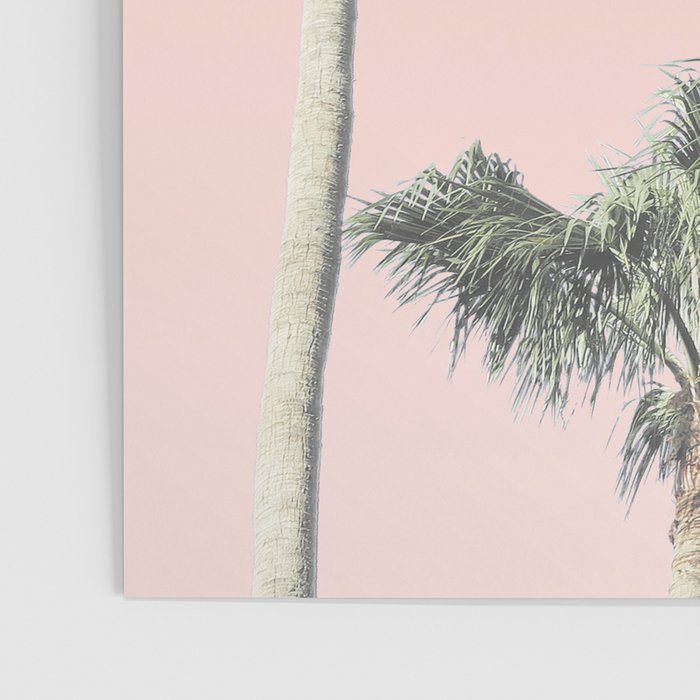 Blush Palms Poster Gallery Image 3