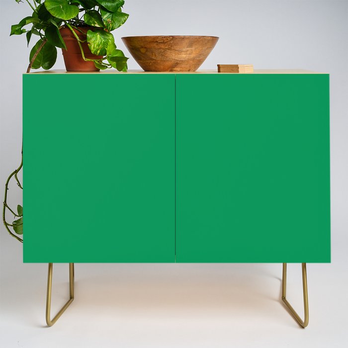 NOW FERN GREEN SOLID COLOR Credenza Gallery Image 1