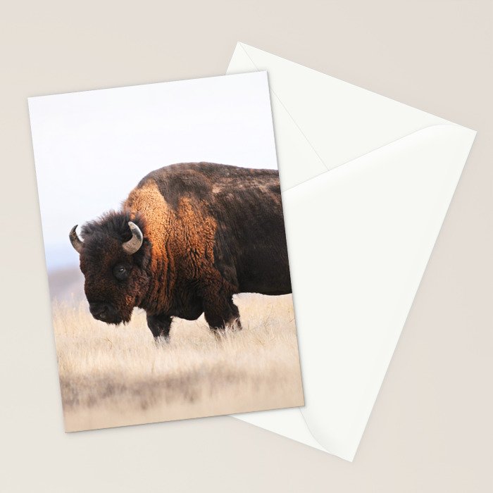 Bison Whisper Stationery Card Gallery Image 2