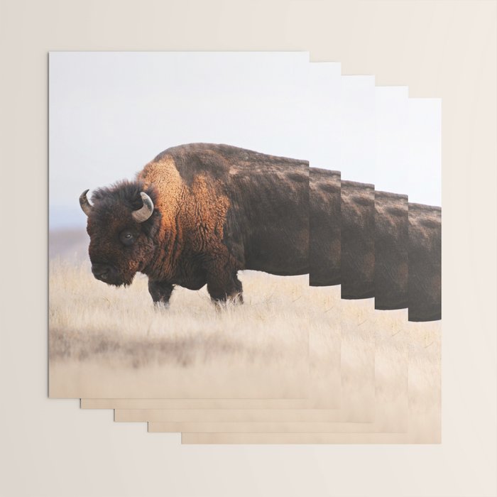 Bison Whisper Wrapping Paper Gallery Image 3