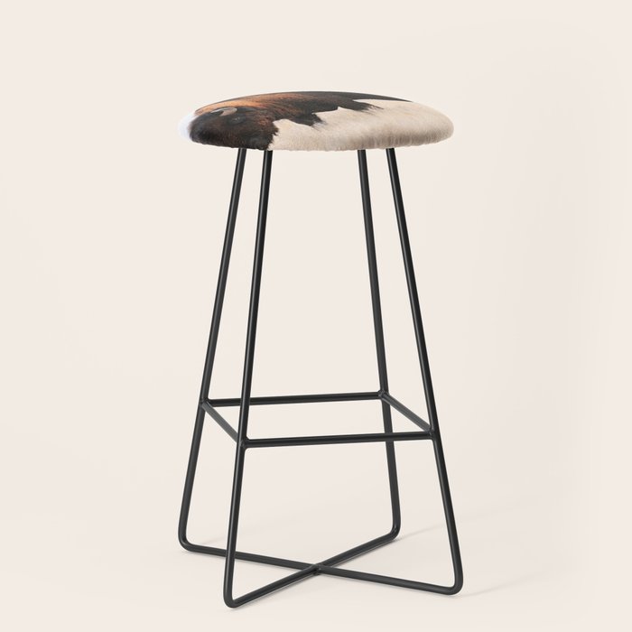 Bison Whisper Stool Gallery Image 1