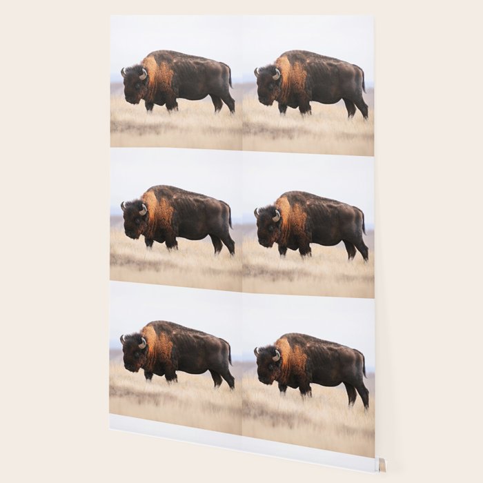 Bison Whisper Wallpaper Gallery Image 2