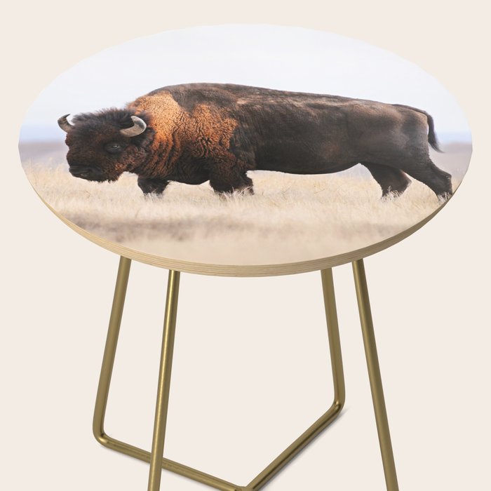 Bison Whisper Side Table Gallery Image 2
