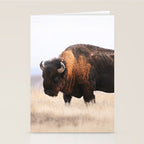 Bison Whisper Stationery Card Gallery Image 2