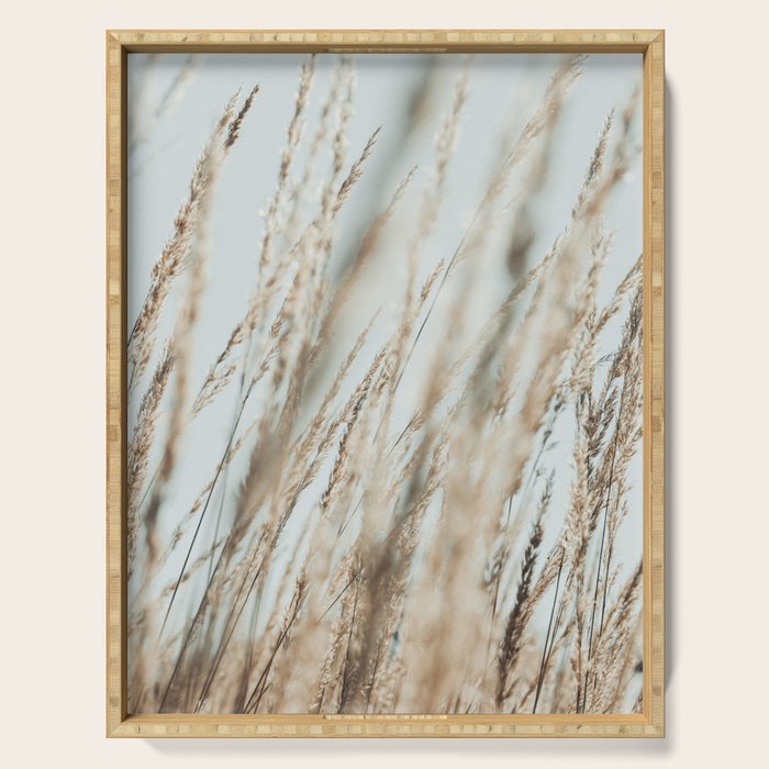 Wandering Through an Autumn Day x nature environmental photograph mint green blue Serving Tray Gallery Image 1